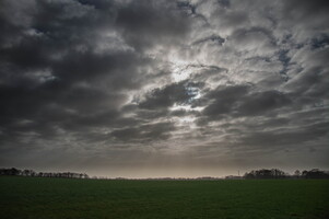 Wandelen